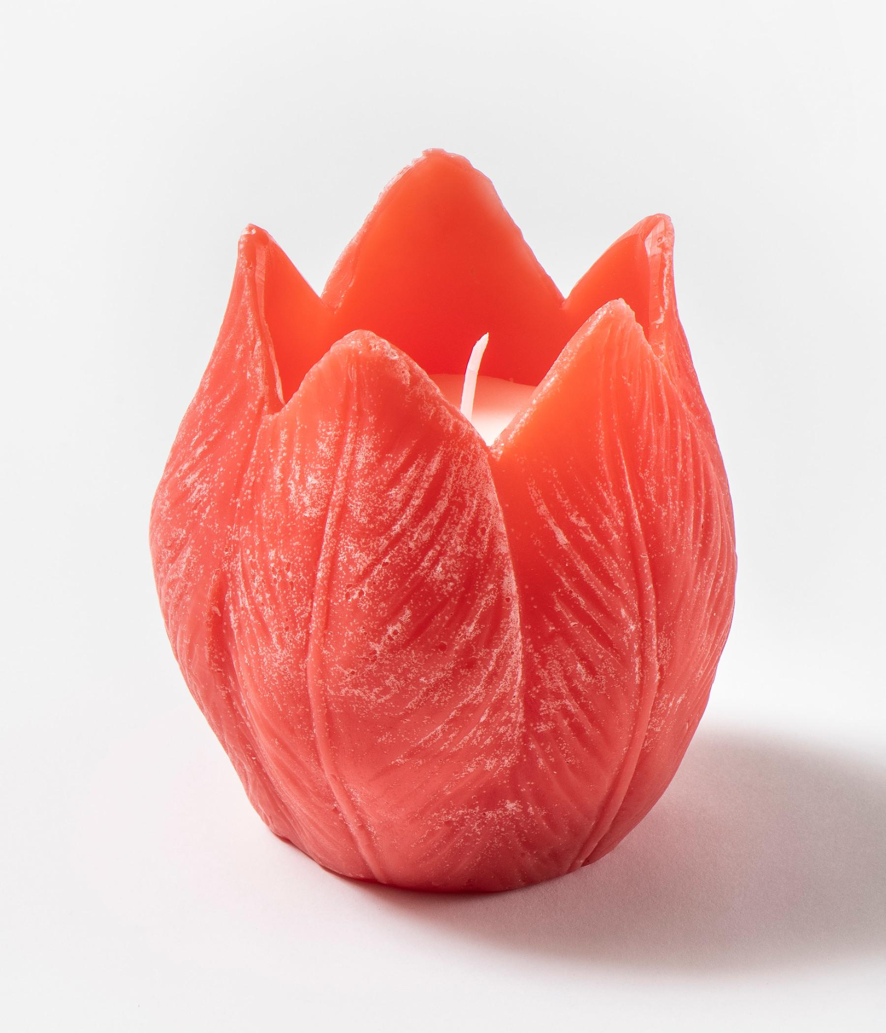 Tulip candle