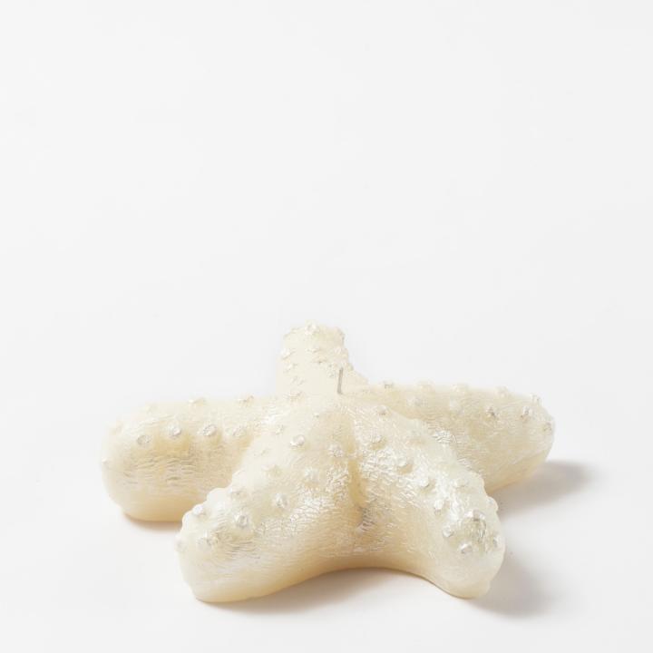 Starfish candle - STYLNOVE line