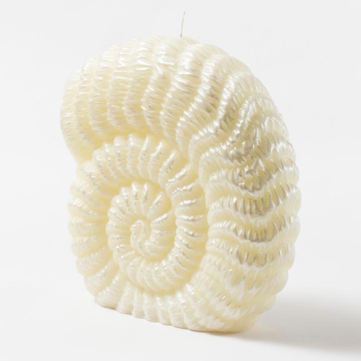 Ammonite shell candle - STYLNOVE line