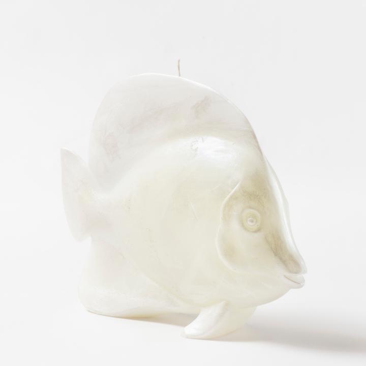 Surgeonfish candle - STYLNOVE line