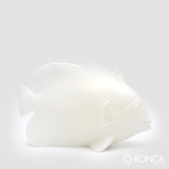 Candela pesce angelo - linea STYLNOVE